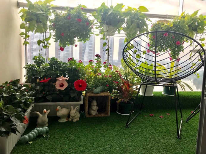 Apartment for rent D210787 (11)